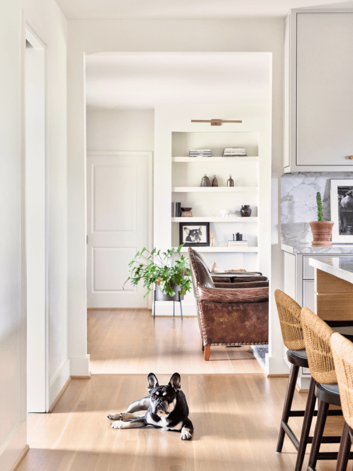 Modern open-concept kitchen and living space with light wood flooring, woven bar stools, built-in shelving, and a small dog resting on the floor.