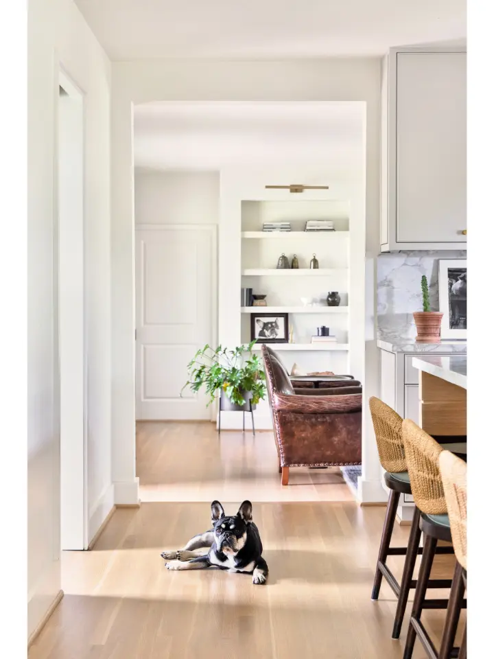 Modern open-concept kitchen and living space with light wood flooring, woven bar stools, built-in shelving, and a small dog resting on the floor.